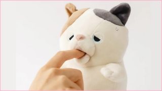 CES 2022: Biting robots and colour-changing cars