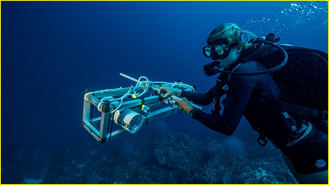 Woman underwater wearing scuba gear and moving a camera around.