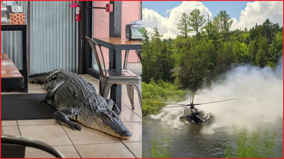 Two AI-generated images, one of an alligator inside a restaurant, another of a helicopter crashing into a body of water