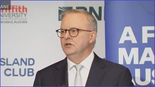 Albanese unveils interventionist industrial policy