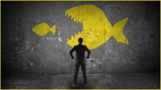 Canva buys ‘the next Canva’ as govt moves on merger reforms