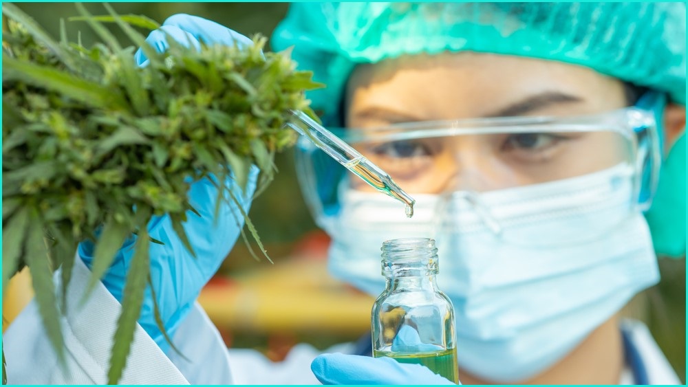 Scientist with cannabis oil standing next to cannabis plant.