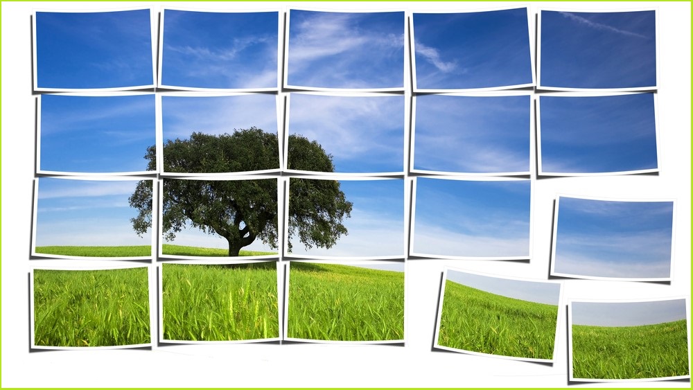 Picture of tree on a hill with blue sky background split up into different screen-sized pieces.