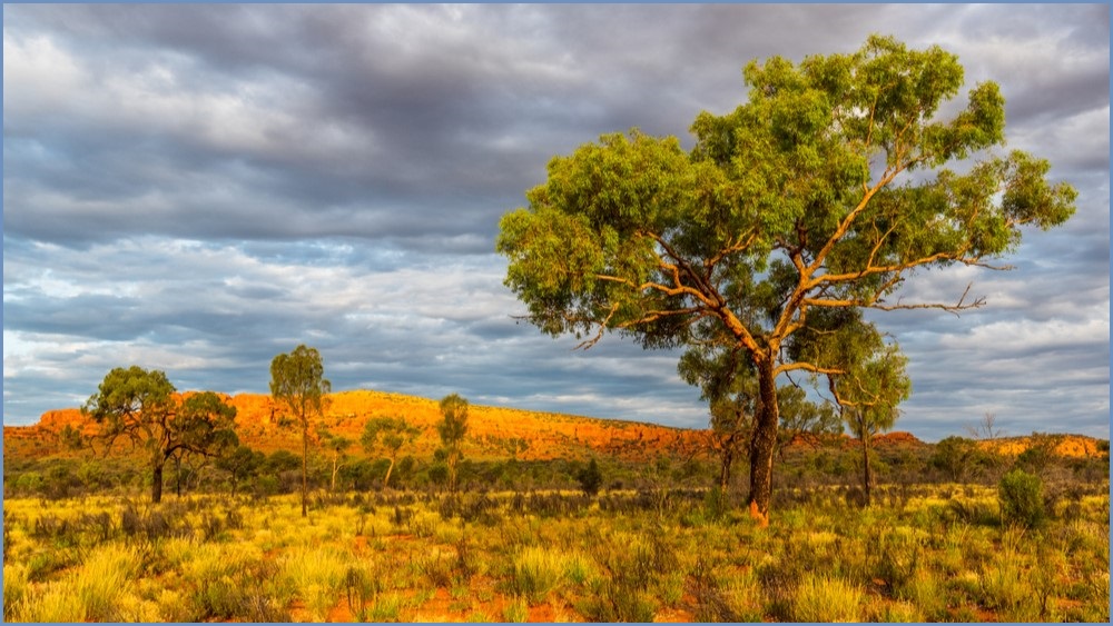 Regional Australia landscape