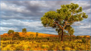 Did government really ‘abandon’ regional Australia?