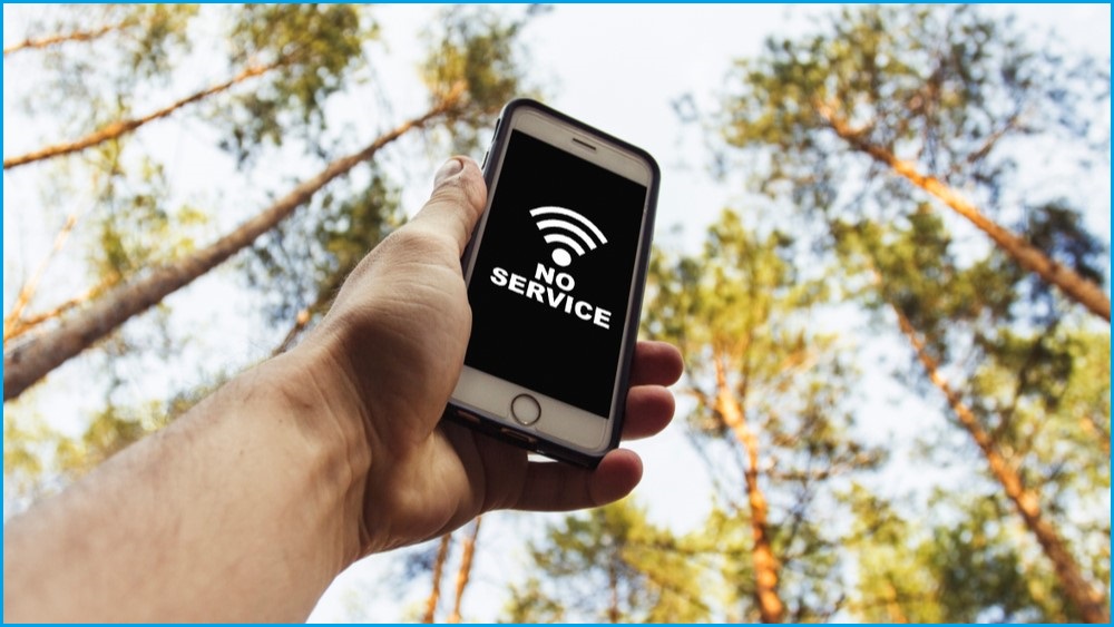 Phone screen being held up high with the words NO SERVICE on the screen, and tall trees in the background. Photo: Shutterstock