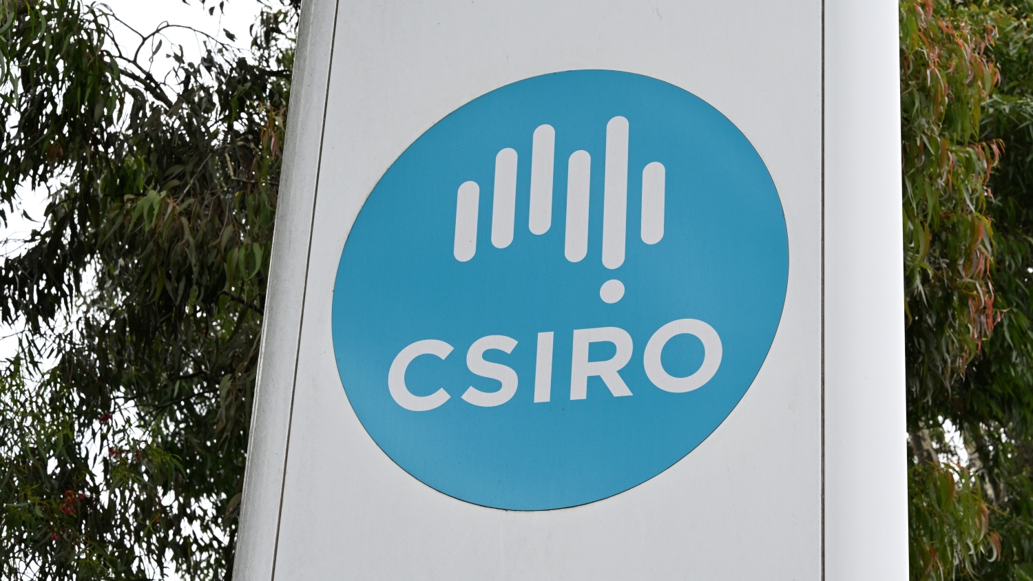 A close up of the CSIRO logo on a sign outside, with trees in the background.