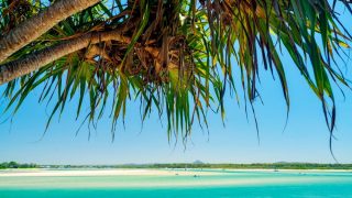 AI scam defrauds Noosa Council of $1.9m