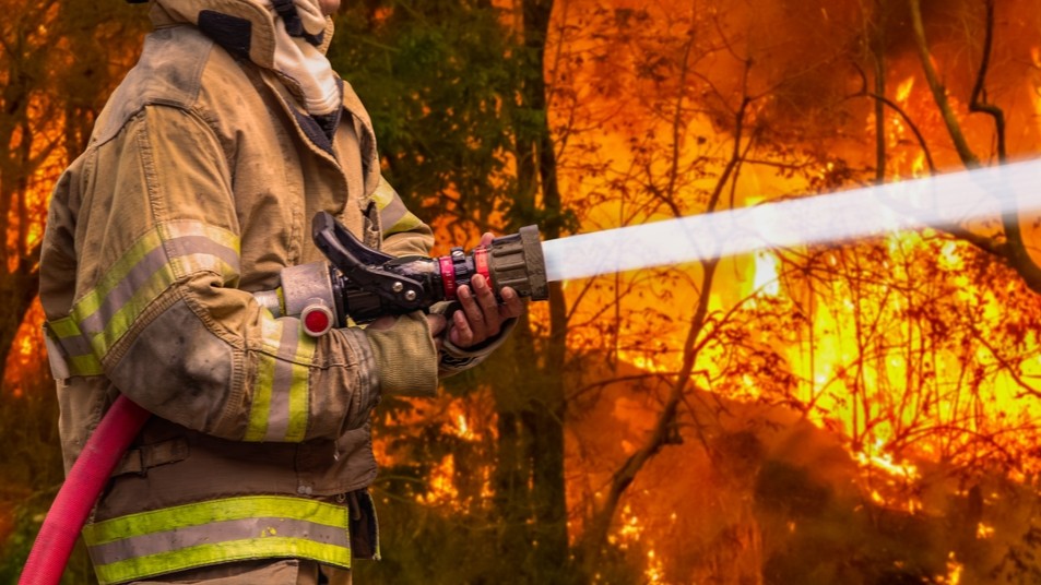 Firefighter pointing water hose at bushfire.