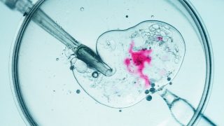 Health data secretly fed to Meta via tracking pixels