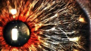 Australia's facial biometrics databases to be linked