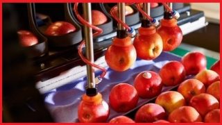 That apple you’re eating? A robot packed it