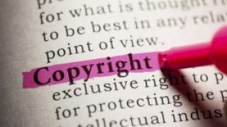 Govt has six months to decide copyright changes