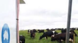 CSIRO cuts Data61 staff while trying to build big data skills