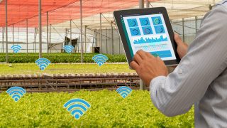 Smart hospitals, smart mines, smart farms