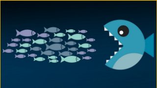 Tech giants warned over start-up acquisitions