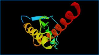 DeepMind solves protein folding problem