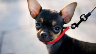 Work culture is keeping innovation on a leash