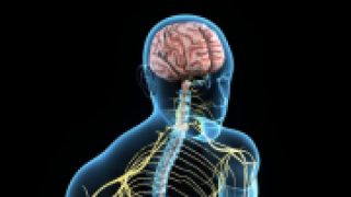 Google, GSK invest $945m in bioelectronics