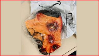 Pig mask and funeral wreath in eBay cyberstalking