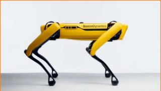 Headless robot dog can be yours for $110,000