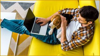 Australians more productive working from home 
